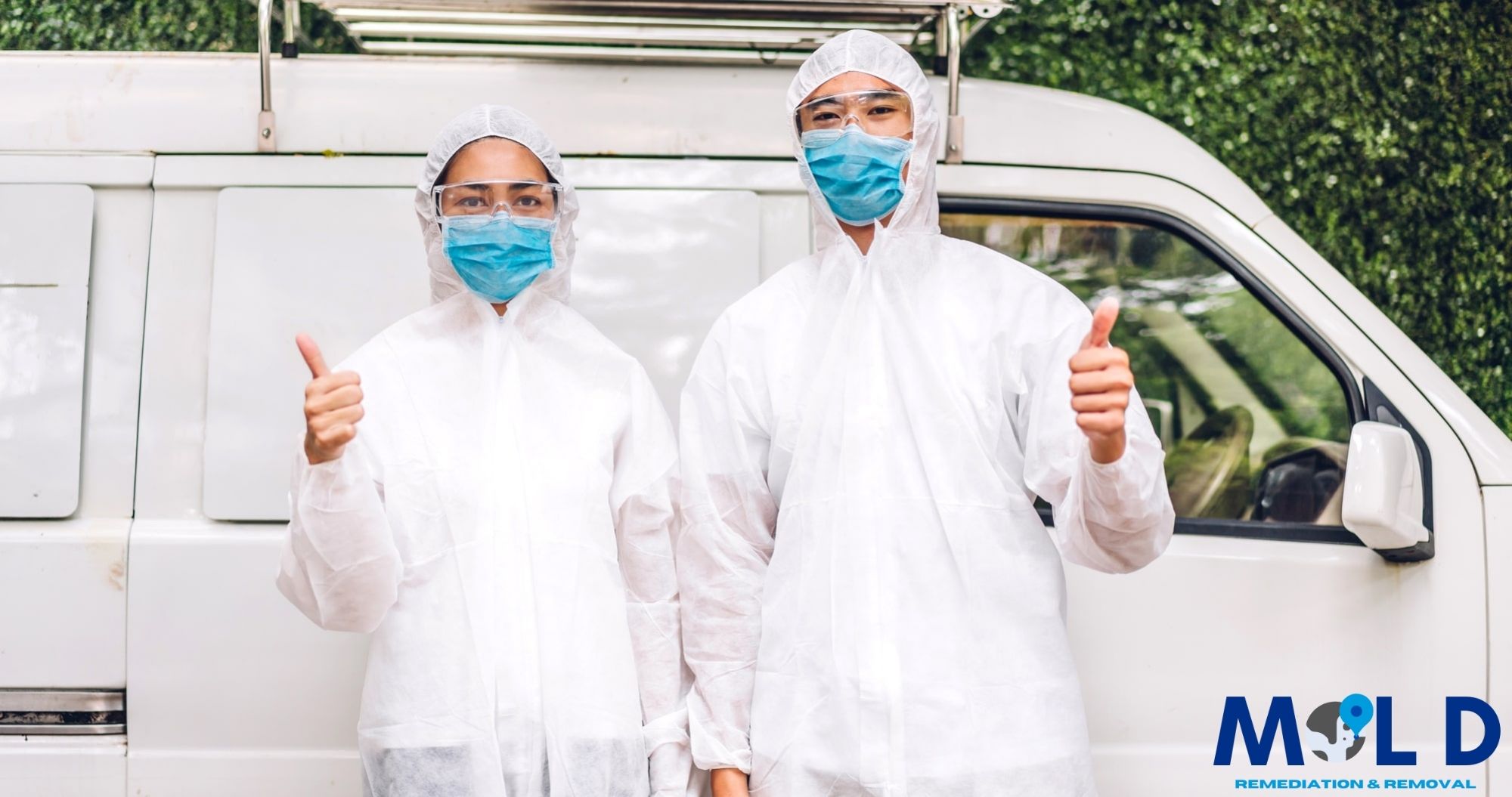 Mold Remediation Experts