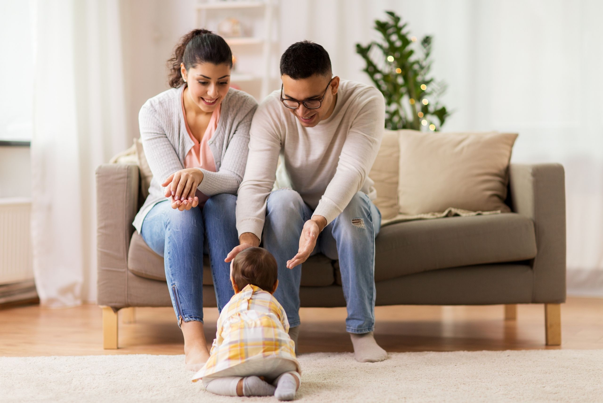 Mold Remediation and Removal Products and Services