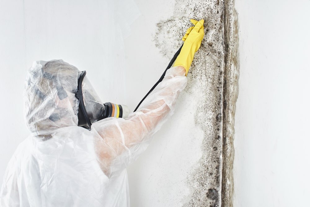 mold on white wall
